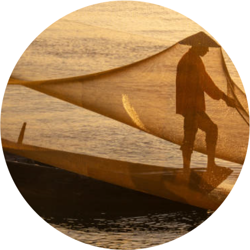 Traditional fishing on the river