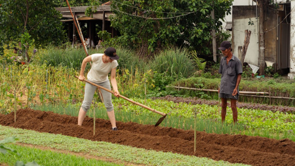 Farming experience at Tra Que Vegetable Village Hoi An
