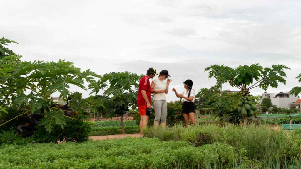 The distinctive aroma of Tra Que village