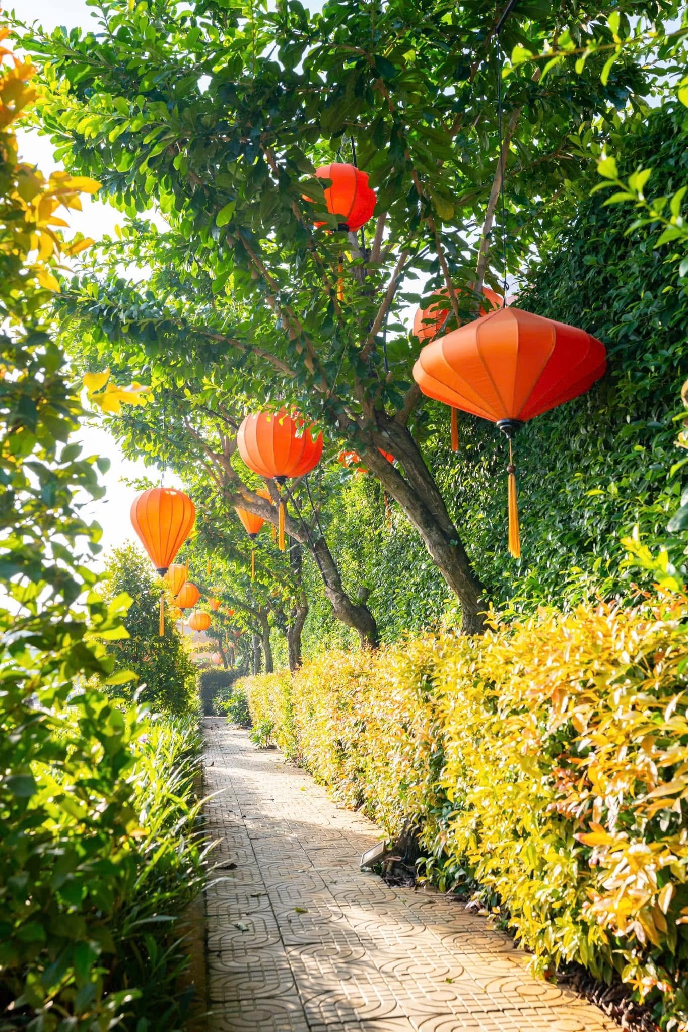 Green surroundings at Allegro Hoi An
