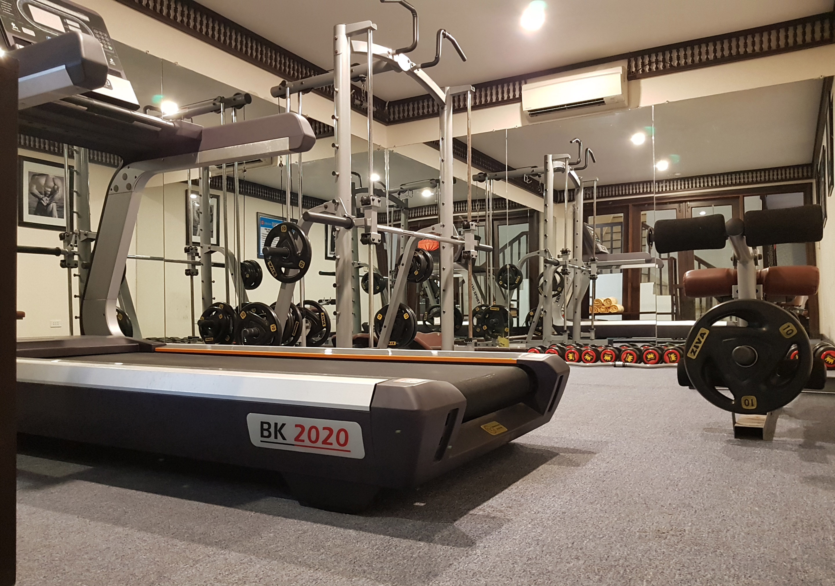 Gymnasium