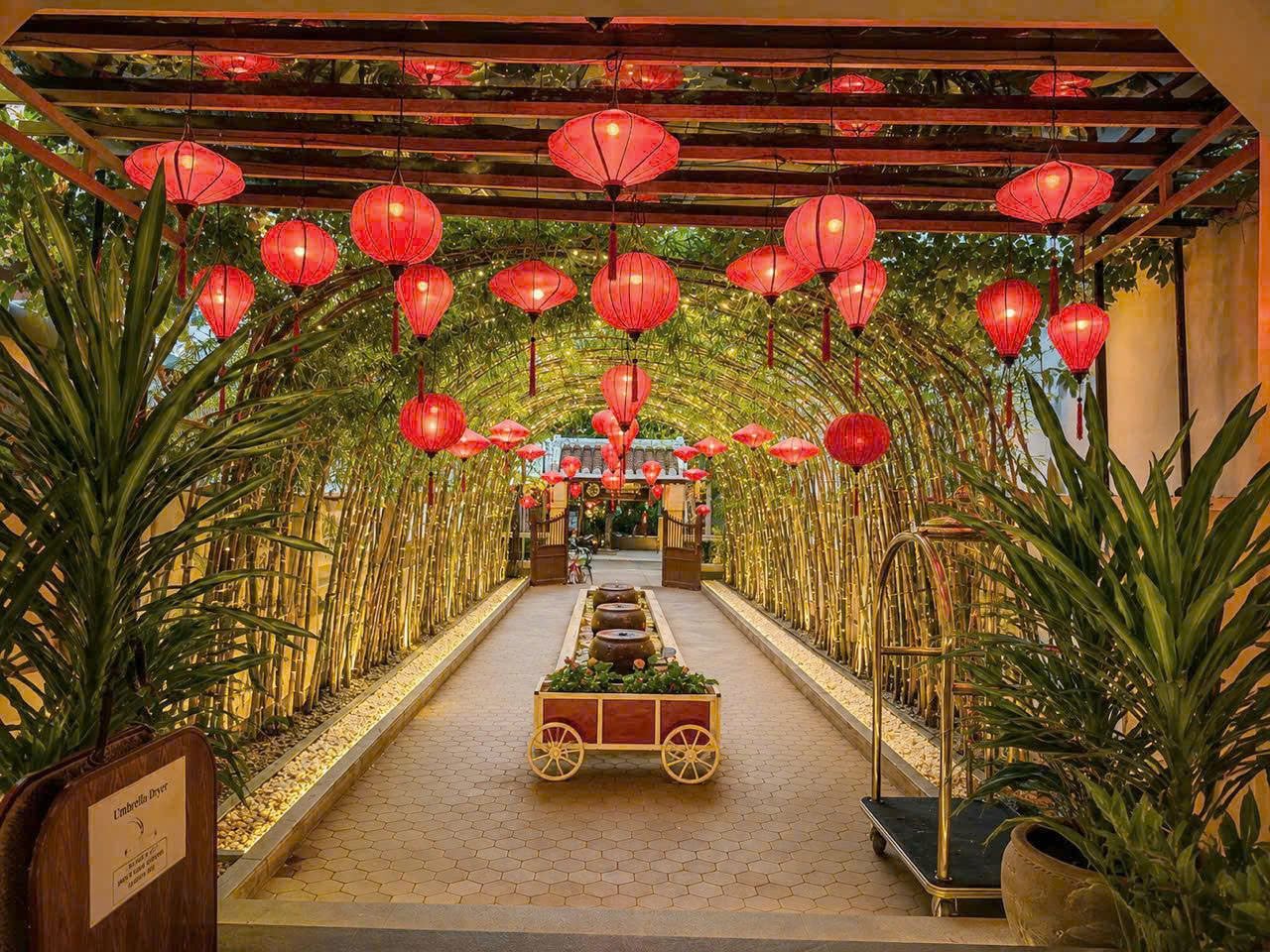 Bamboo garden walkway illuminated by Hoi An lanterns